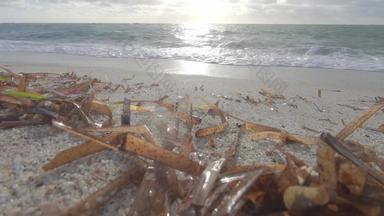 令人<strong>回味</strong>的背光查看角posidonia海藻叶子海岸白色石英沙子海波未来湿多云的天空背景